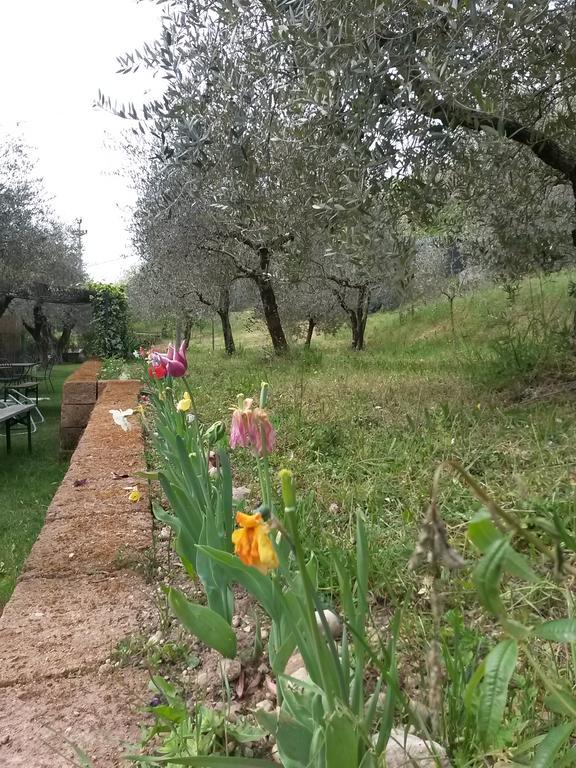 Agriturismo Camparella Pastrengo Ngoại thất bức ảnh